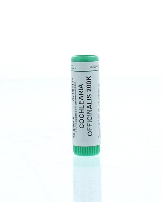 Homeoden Heel Cochlearia officinalis 200K (1 Gram)