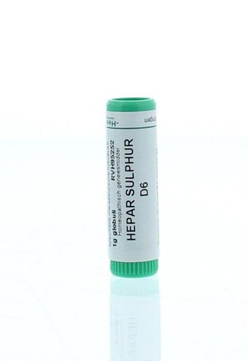Homeoden Heel Hepar sulphur D6 (1 Gram)