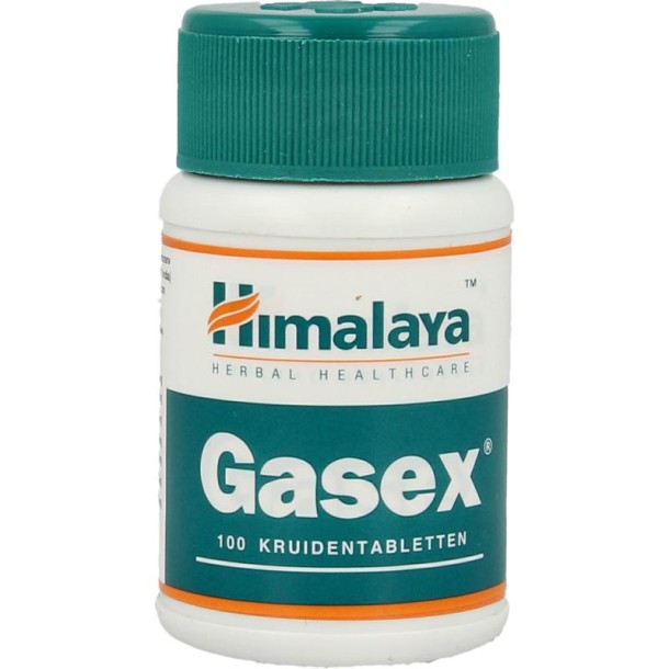 Holisan Gasex (100 Tabletten)