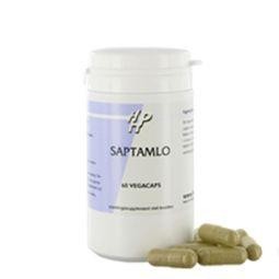 Holisan Saptamlo (60 Capsules)