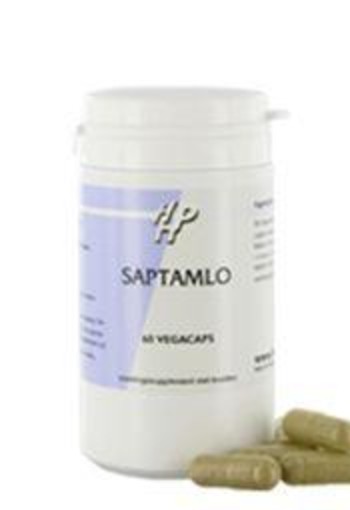 Holisan Saptamlo (60 Capsules)