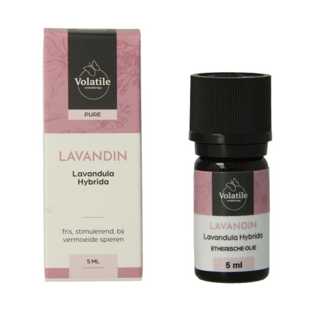 Volatile Lavandin (5 Milliliter)