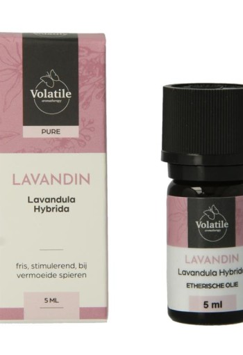 Volatile Lavandin (5 Milliliter)