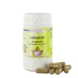 Holisan Guduchi (60 Capsules)