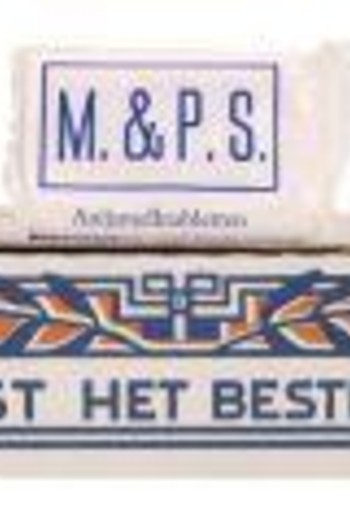 Van Vliet MPS anijsmelk (1 Tabletten)