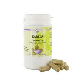 Holisan Karela (60 Capsules)