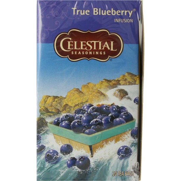 Celestial Season True blueberry herb tea (20 Zakjes)