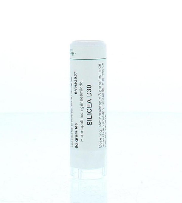 Homeoden Heel Silicea D30 (6 Gram)