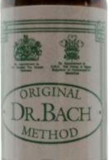 Ainsworths Beech bach (10 Milliliter)