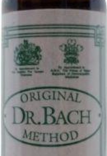 Ainsworths Centaury Bach (10 Milliliter)