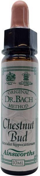 Ainsworths Chestnut bud Bach (10 Milliliter)