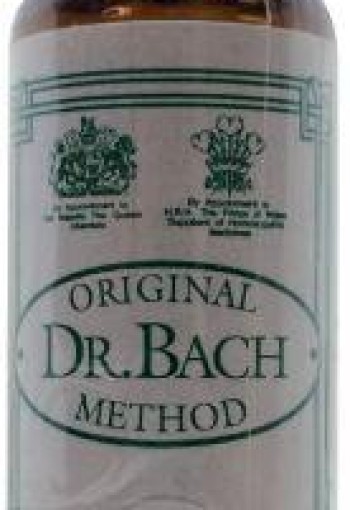 Ainsworths Chestnut bud Bach (10 Milliliter)