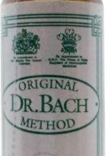 Ainsworths Honeysuckle Bach (10 Milliliter)