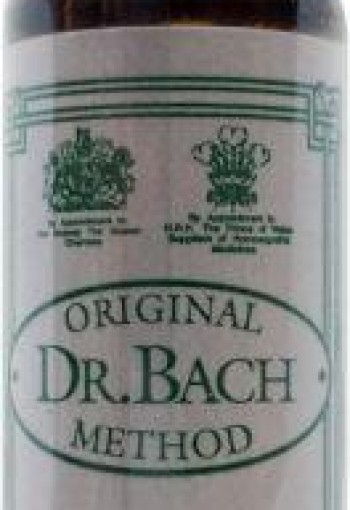 Ainsworths Sweet chestnut Bach (10 Milliliter)