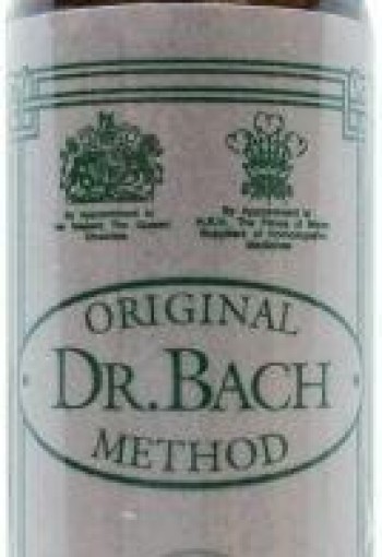 Ainsworths Vervain Bach (10 Milliliter)