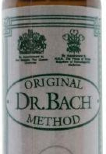 Ainsworths Walnut Bach (10 Milliliter)