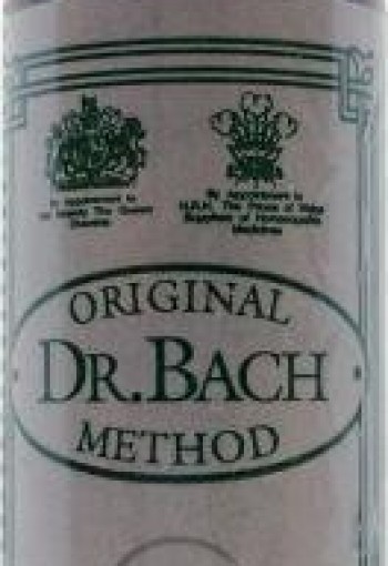 Ainsworths White chestnut Bach (10 Milliliter)