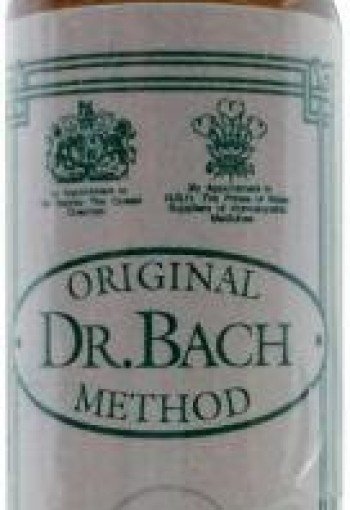 Ainsworths Willow Bach (10 Milliliter)