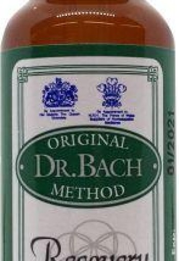 Ainsworths Recovery Plus Bach (20 Milliliter)