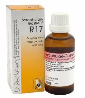 Reckeweg Scrophulae gastreu R17 (50 Milliliter)