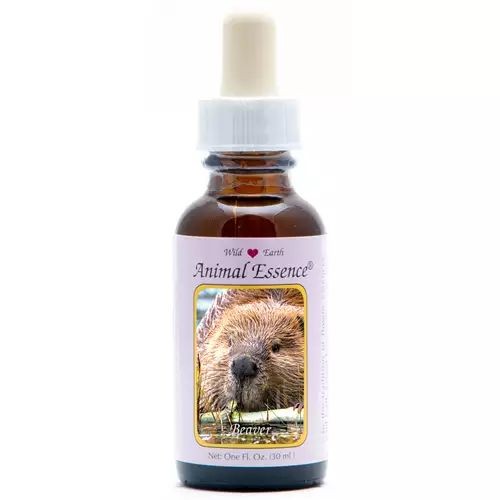 Animal Essences Beaver (bever) (30 Milliliter)