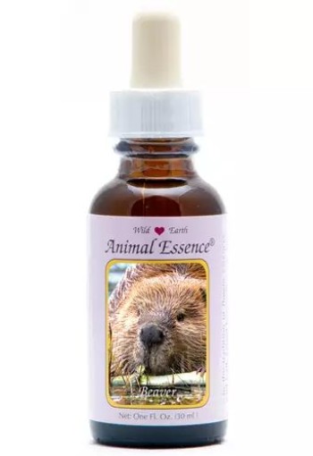 Animal Essences Beaver (bever) (30 Milliliter)
