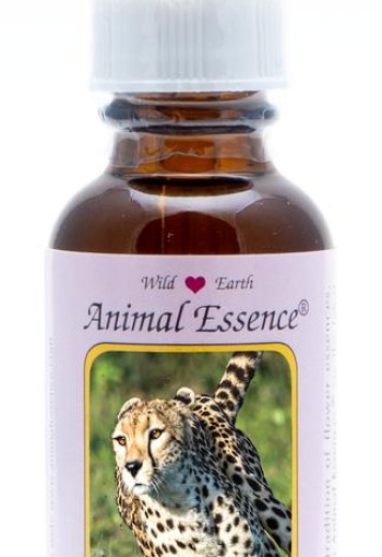Animal Essences Cheetah (jachtluipaard) (30 Milliliter)