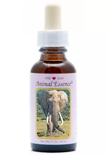 Animal Essences Elephant (olifant) (30 Milliliter)