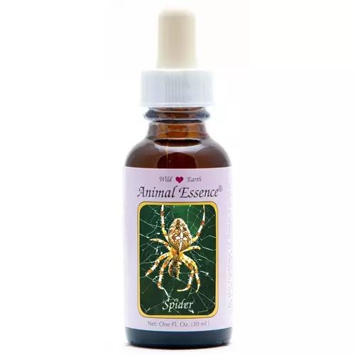 Animal Essences Spider (spin) (30 Milliliter)