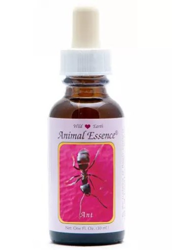 Animal Essences Ant (mier) (30 Milliliter)