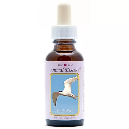 Animal Essences Arctic tern (noordse stern) (30 Milliliter)