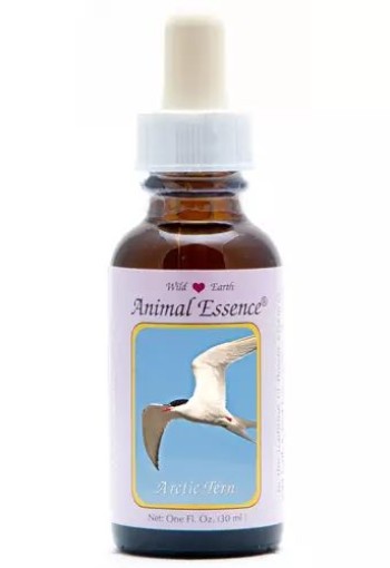 Animal Essences Arctic tern (noordse stern) (30 Milliliter)