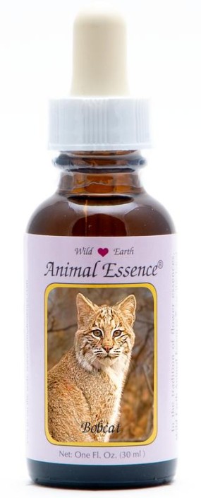 Animal Essences Bobcat (Amerikaanse lynx) (30 Milliliter)
