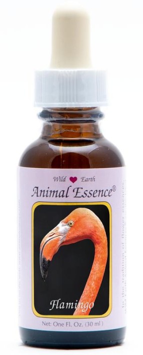 Animal Essences Flamingo (30 Milliliter)