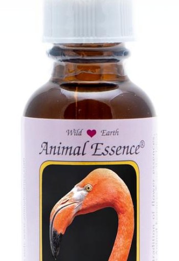 Animal Essences Flamingo (30 Milliliter)