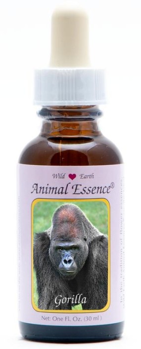 Animal Essences Gorilla (30 Milliliter)