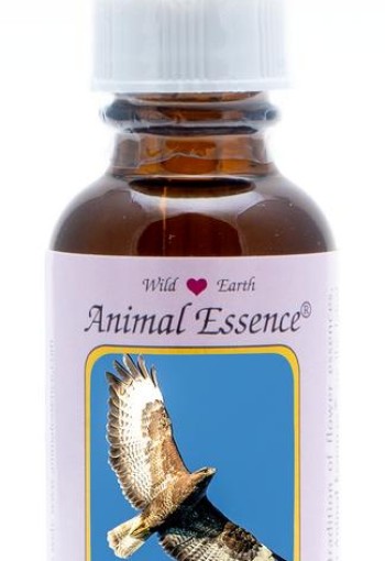 Animal Essences Hawk (havik) (30 Milliliter)