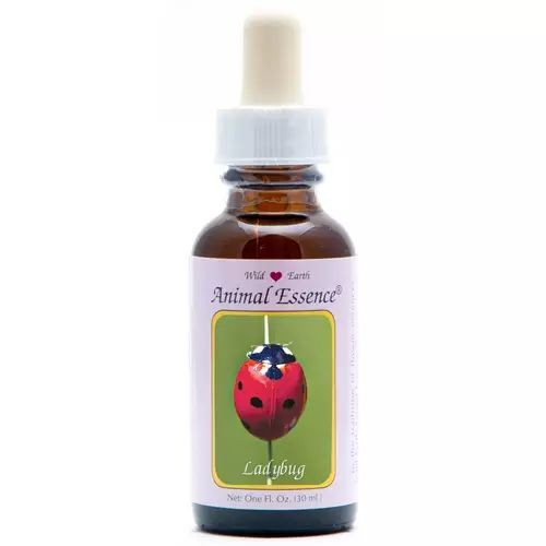 Animal Essences Ladybug (lieveheersbeestje) (30 Milliliter)