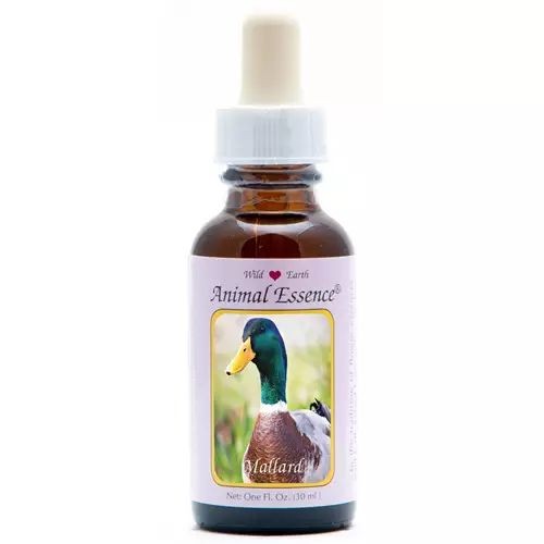 Animal Essences Mallard (wilde eend) (30 Milliliter)