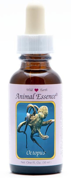 Animal Essences Octopus (30 Milliliter)