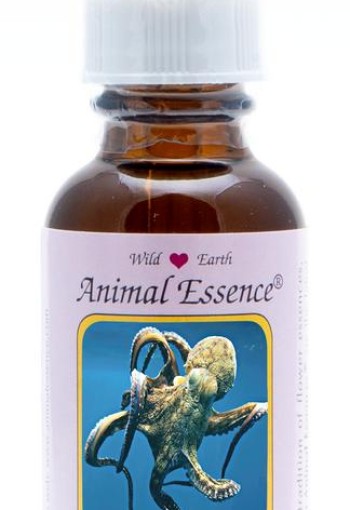 Animal Essences Octopus (30 Milliliter)
