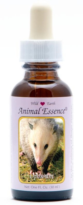 Animal Essences Opossum (buidelrat) (30 Milliliter)