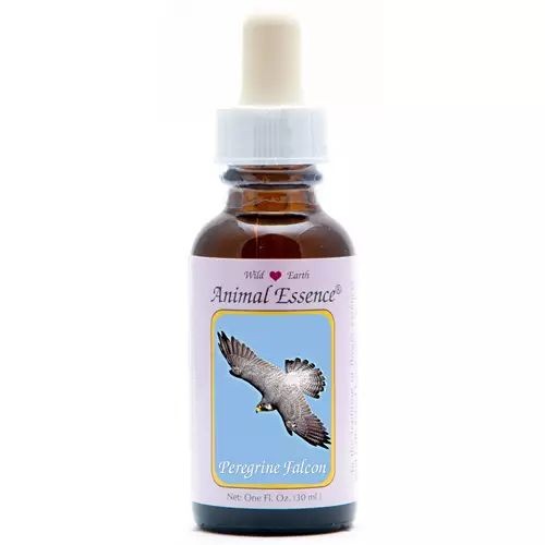 Animal Essences Peregrine falcon (slechtvalk) (30 Milliliter)