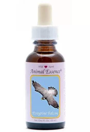 Animal Essences Peregrine falcon (slechtvalk) (30 Milliliter)