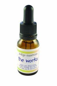 Indigo Essences The works (15 Milliliter)