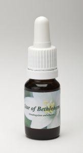 Star Remedies Star of Bethlehem (10 Milliliter)