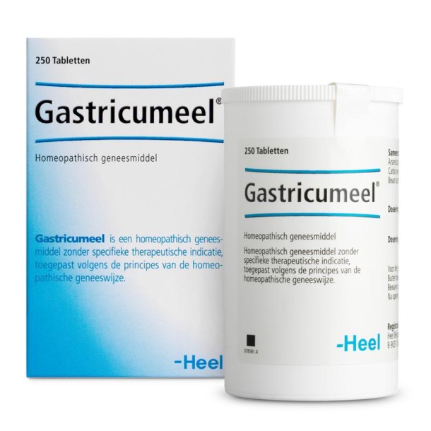 Heel Gastricumeel (250 Tabletten)