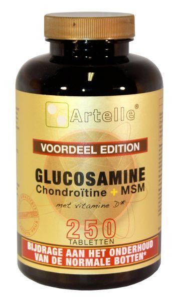 Artelle Glucosamine/chondroitine/msm (250 Tabletten)