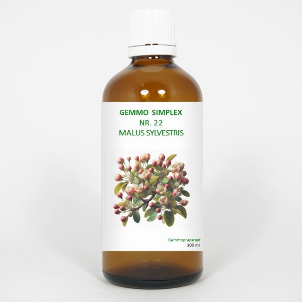 Balancepharma Gemmo simplex 22 Malus sylvestris (100 Milliliter)