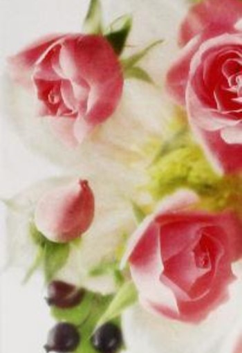 Yardley English rose eau de toilette (50 Milliliter)